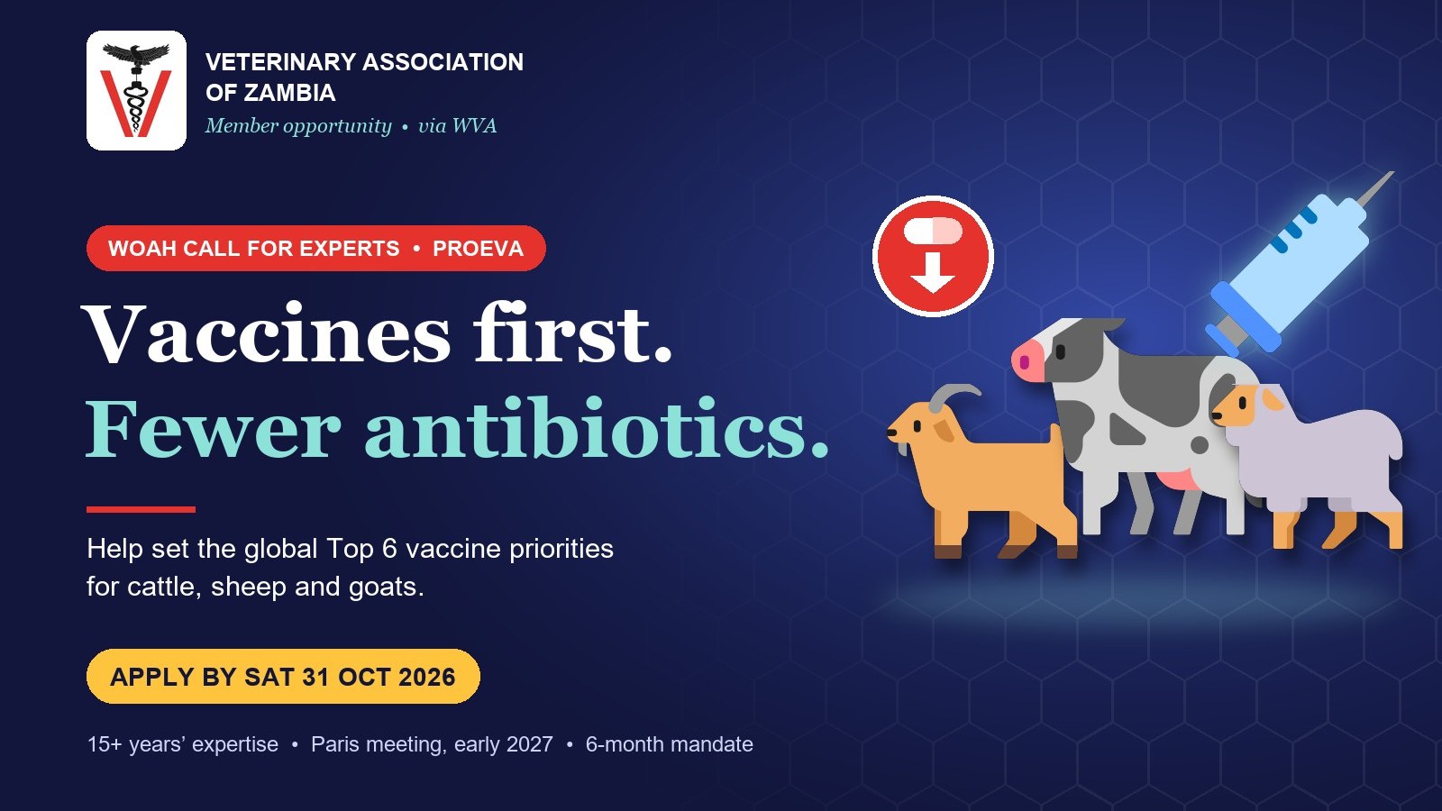 WOAH Calls for Experts: Help Set Global Vaccine Priorities to Cut Antimicrobial Use in Cattle, Sheep and Goats