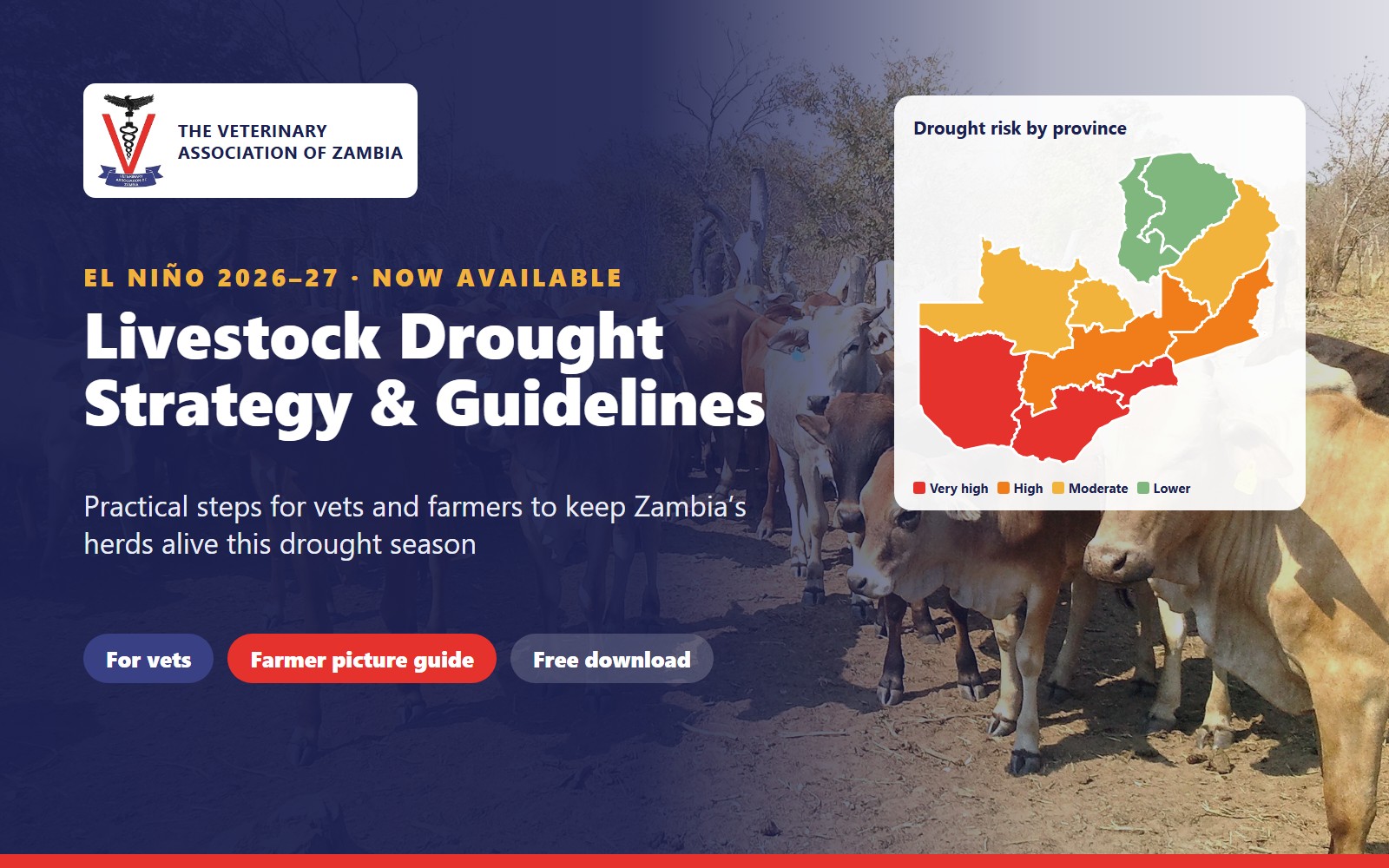 Protect your herd this El Niño season: VAZ launches its Livestock Drought Strategy 2026–2027