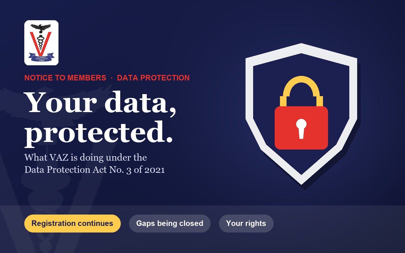 Protecting Your Personal Data in Online Registration: What VAZ Is Doing